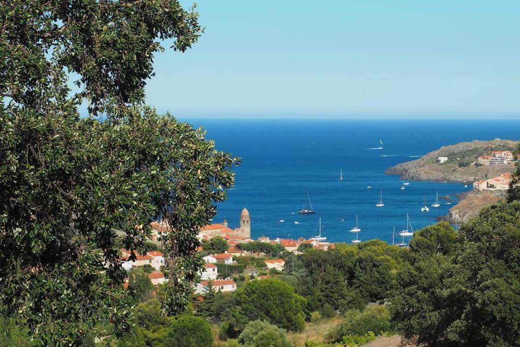 Villa Collioure Mar I Munt Bagian luar foto